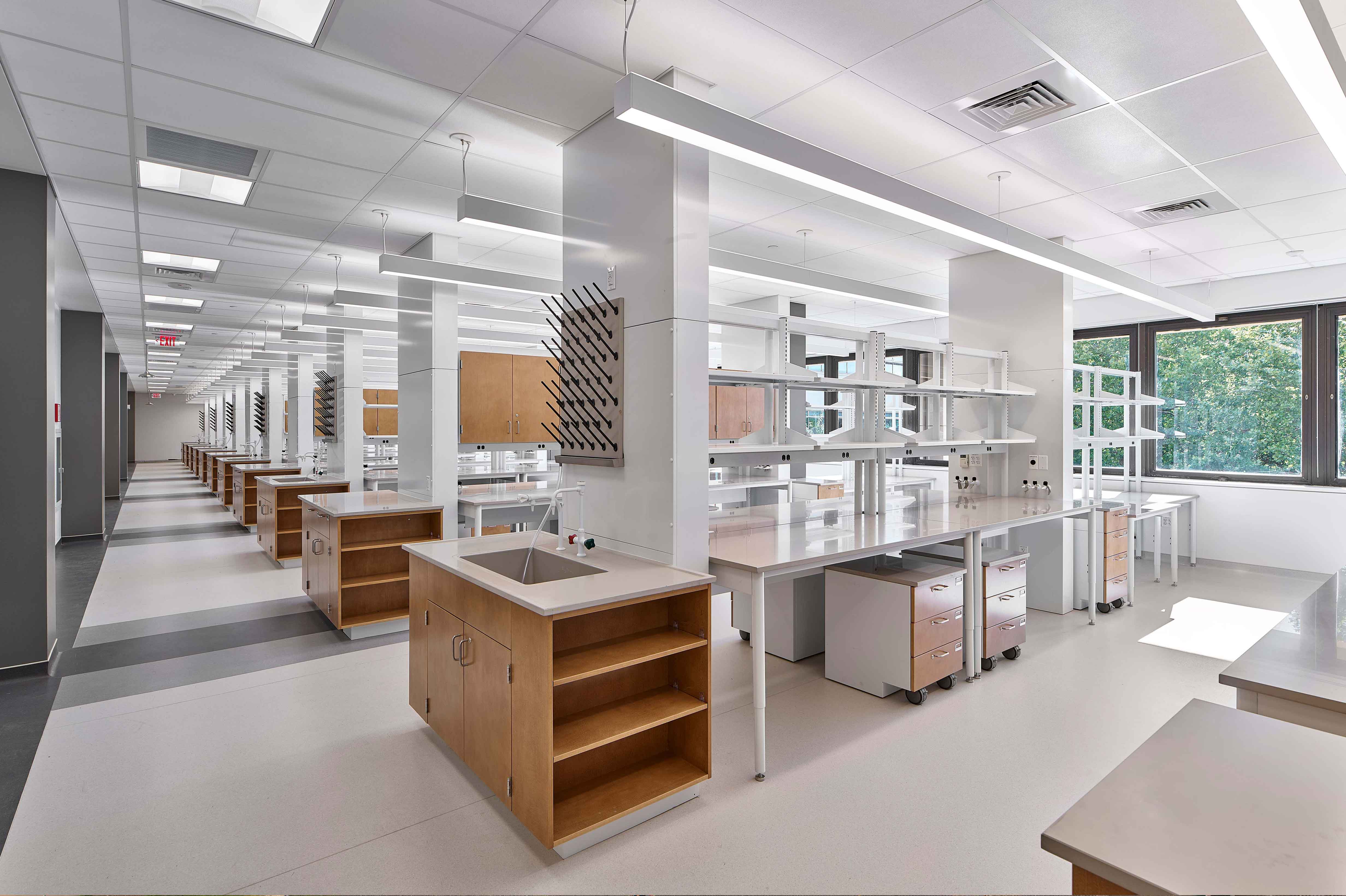 School of Dental Medicine Laboratory Renovations