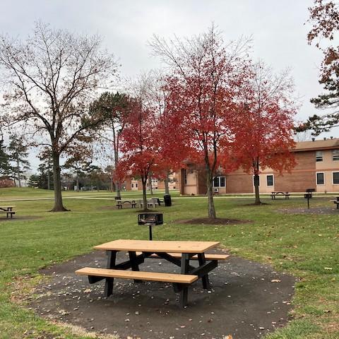 Johnson-Apartments